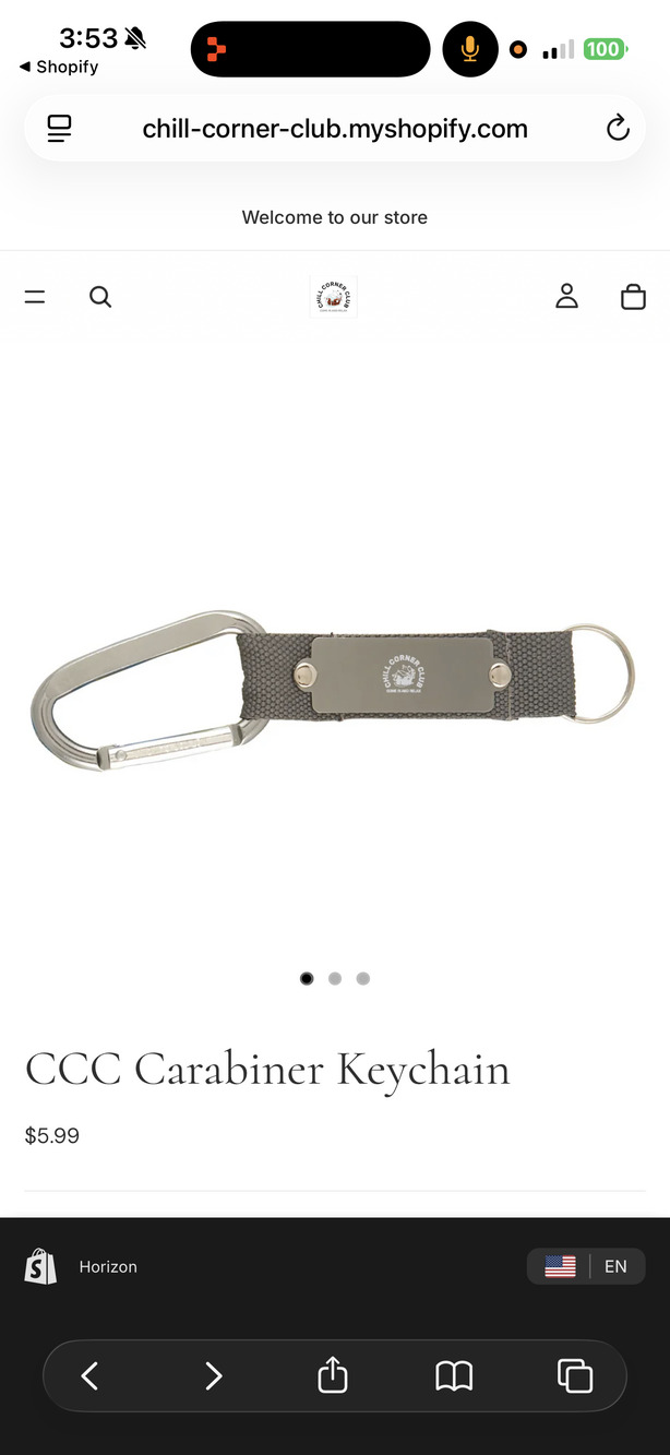 Chill Corner Club CCC Carabiner Keychain Silver Grey Nylon Webbing Key Ring EDC